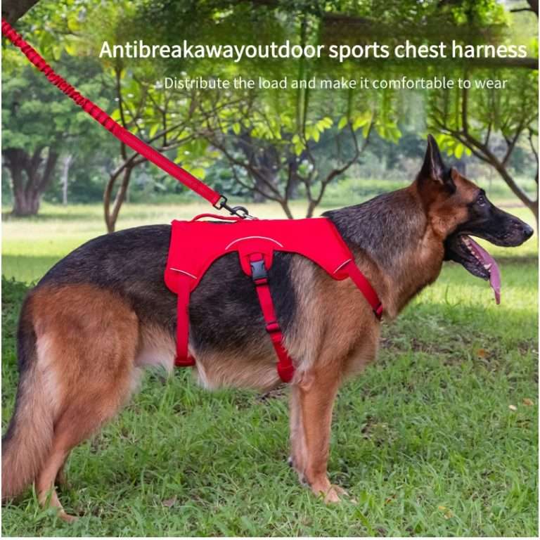 Outdoor Adventure Dog Harness - Waterproof & Durable
