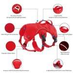 Outdoor Adventure Dog Harness - Waterproof & Durable