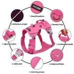 Durable Comfort Adjustable Dog Harness