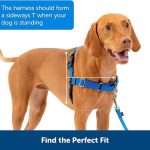 Premium Adjustable Dog Harness with Reflective Strips - No-Pull Design