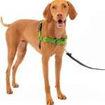 Premium Adjustable Dog Harness with Reflective Strips - No-Pull Design