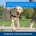 Premium Adjustable Dog Harness with Reflective Strips - No-Pull Design