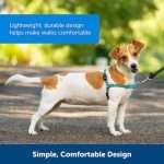 Premium Adjustable Dog Harness with Reflective Strips - No-Pull Design
