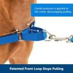 Premium Adjustable Dog Harness with Reflective Strips - No-Pull Design