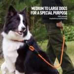 Premium Dog Leash with Reflective Strips - Shock Absorbent, Suitable for All Dogs